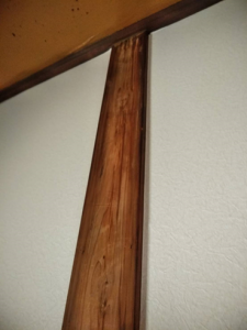 線状降水帯が頻繁に発生した夏