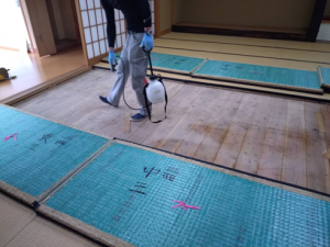 沼津市 畳のノミダニ駆除