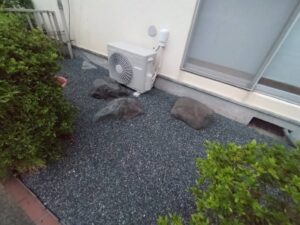 沼津市 お庭の雑草対策!防草シートと砂利敷きでスッキリ快適に