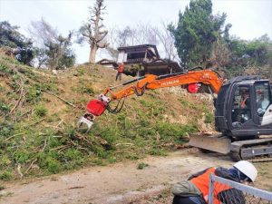 沼津市　樹木伐採