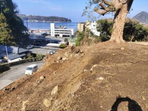 沼津市　樹木伐採