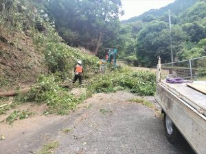 沼津市　樹木伐採