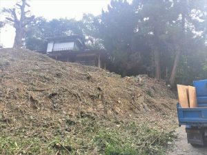 沼津市　樹木伐採