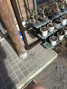 沼津市　玄関の印象を一新！庇の軒天補修＆柱の保護塗装